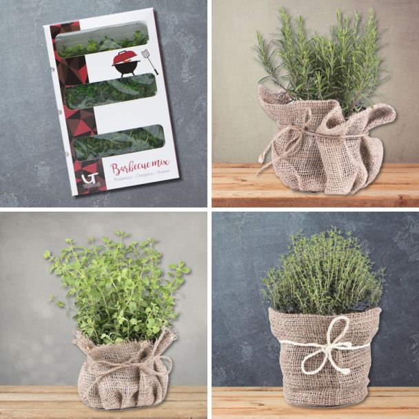 Sonderangebot Gardian Barbeque + Flower Tower
