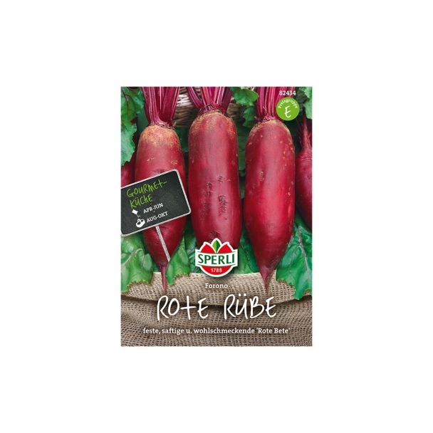 Rote Rübe 'Forono'