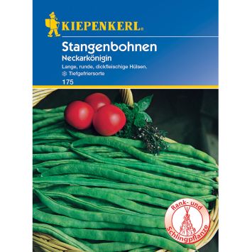 Stangenbohnen 'Neckarkönigin'