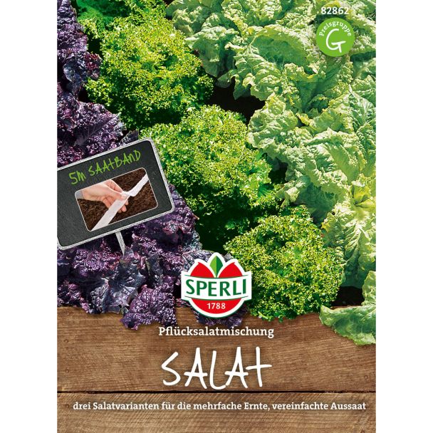 Saatband / Pflücksalat - Sortiment: 'Teide, Grand Rapids, Lollo Bionda'