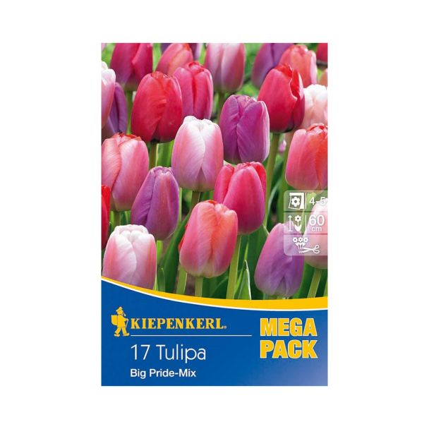 Tulpen 'Big Pride' Mix