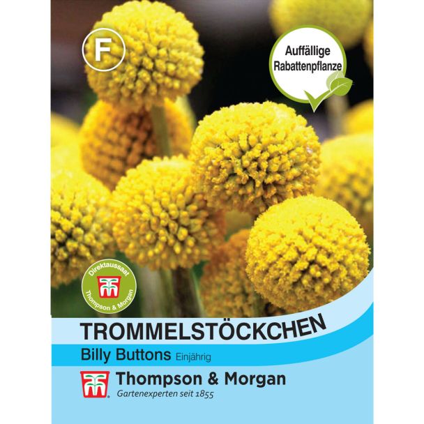 Trommelstöckchen Billy Buttons
