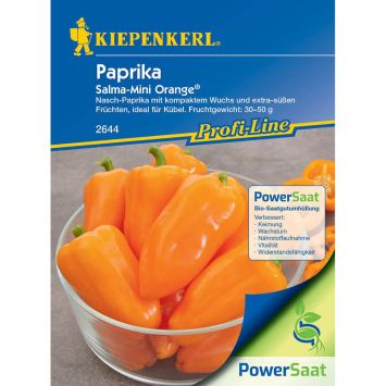 Kiepenkerl Samen Snack-Paprika Salma-Mini Orange