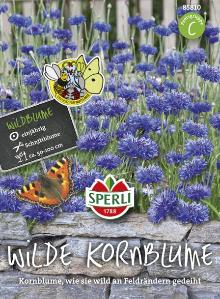 'Wilde Kornblume'