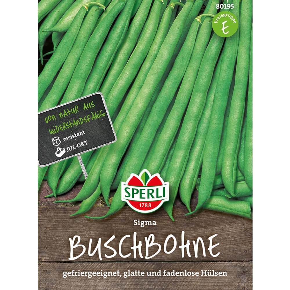 Sperli Buschbohnensamen Scuba 80174 - Fadenlose Grüne Bohnen Für Garten, Eintöpfe & Salate