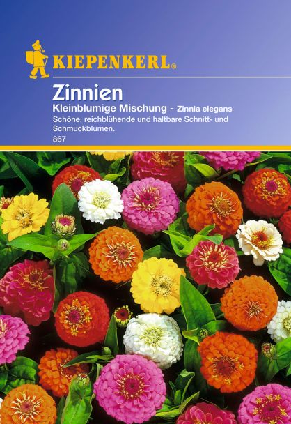 'Zinnien' Kleinblumige Mischung