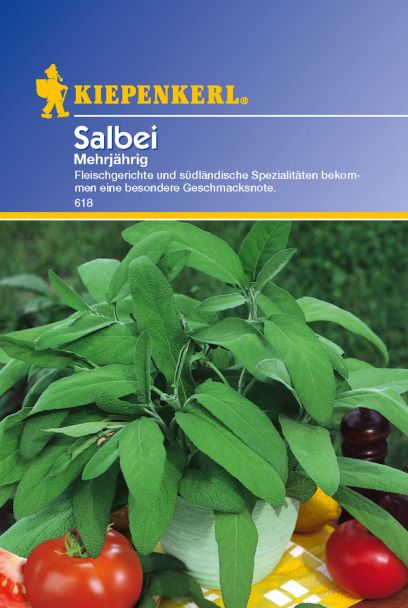 Salbei 'Mehrjährig'