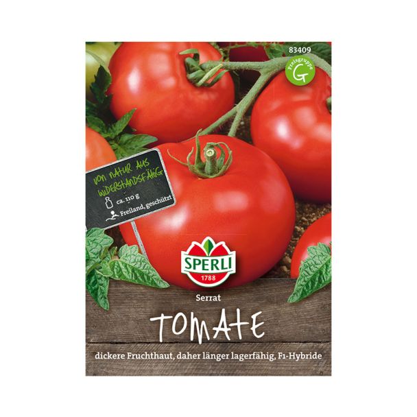 Tomaten 'Serrat' F1 Hybride