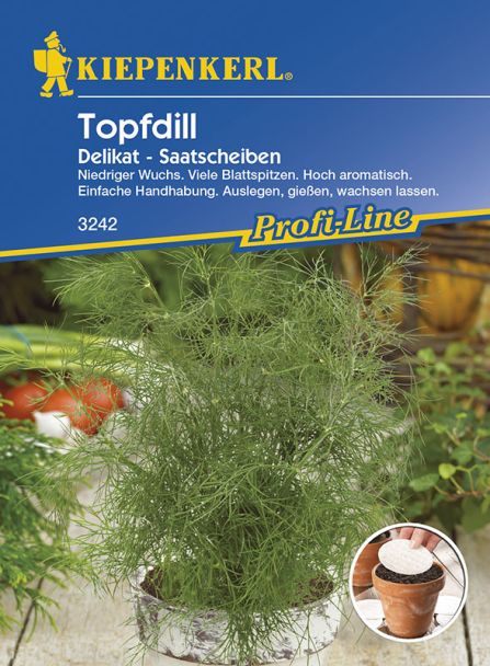 Topfdill 'Delikat' (Saatscheiben)