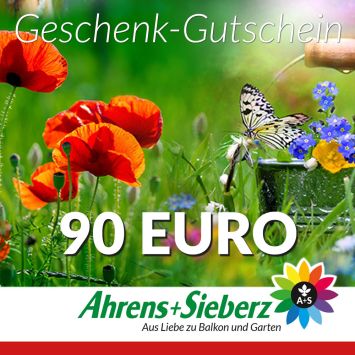 Geschenk-Gutschein, Wert 90 Euro Sommerfreude