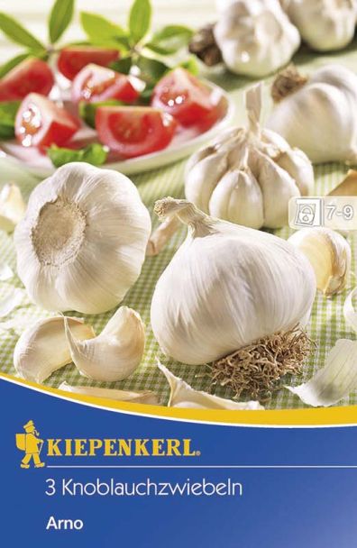 3 Knoblauchzwiebeln 'Arno'