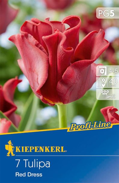 Tulpe Red Dress