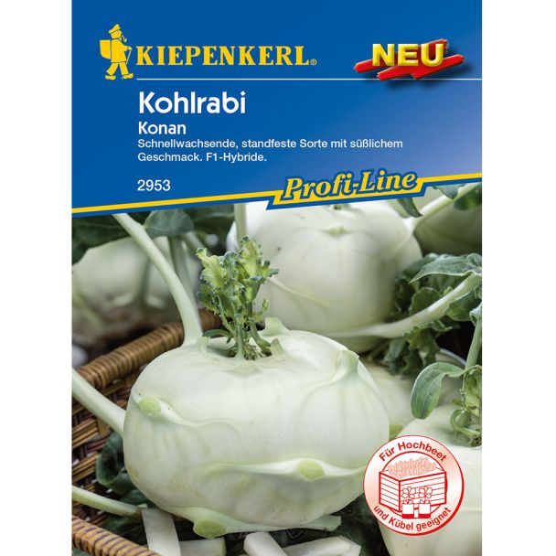 Kohlrabi Konan, F1