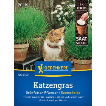 Katzengrassamen Frischgrün Mischung, Saatscheibe