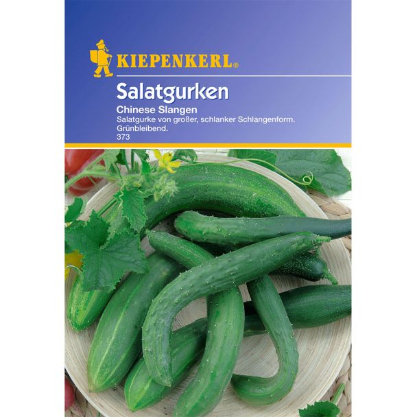Gurken (Salatgurken) 'Chinese Slangen'