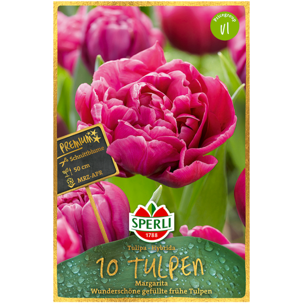 Gefüllte frühe Tulpen 'Margarita'