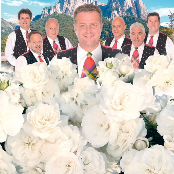 'Die Kastelruther Spatzen®' Rose, Container
