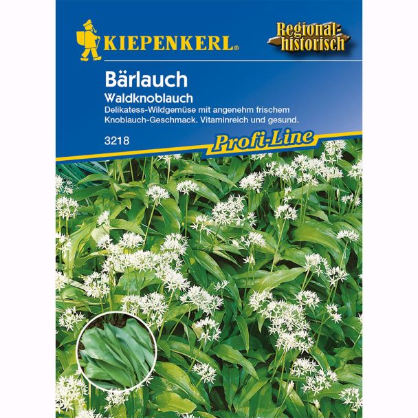 Kiepenkerl Bärlauch (Waldknoblauch)