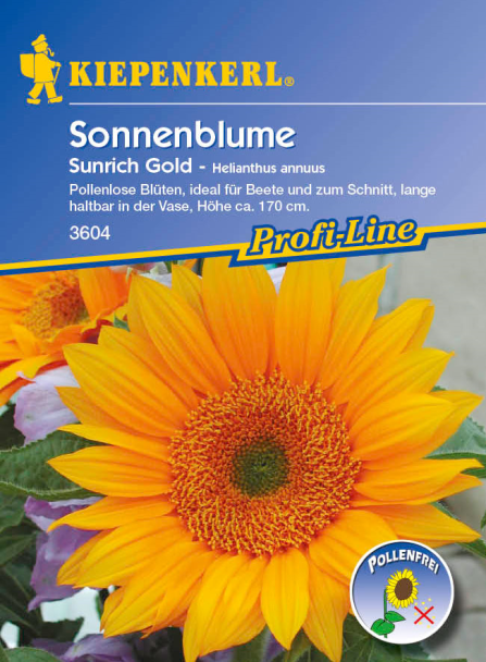 Sonnenblume 'Sunrich Gold'