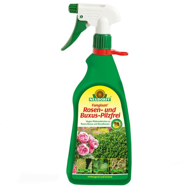 Fungisan® 'Rosen- und Buxus-Pilzfrei', 1 Liter (100 ml / € 1,20)