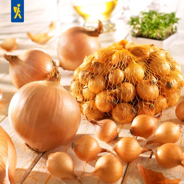 Steckzwiebeln Stuttgarter Riesen 250 g (1 kg / € 7,96)