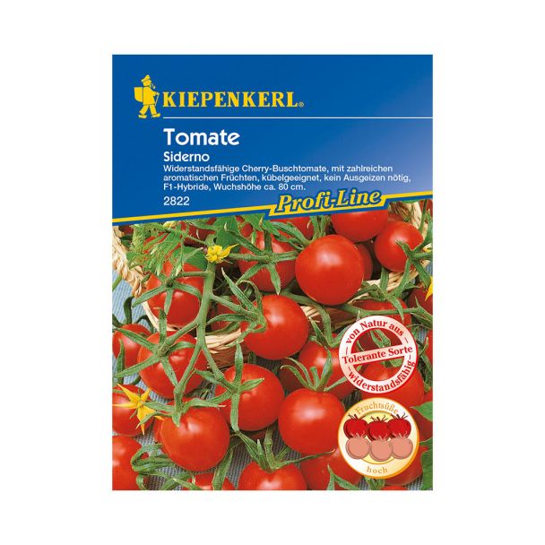Cherry-Busch-Tomate `Siderno' F1