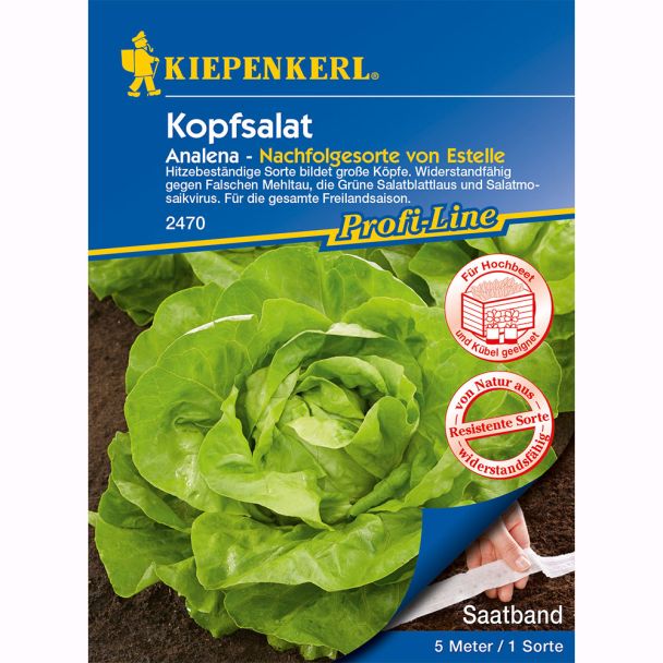 Saatband Kopfsalat Analena