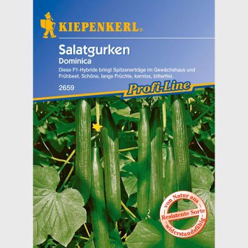Schlangengurke 'Dominica' F1