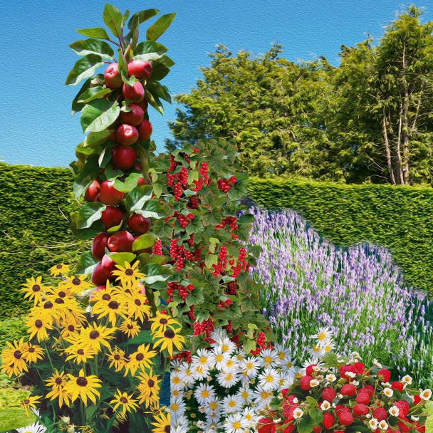 Nasch- und Blüh-Garten