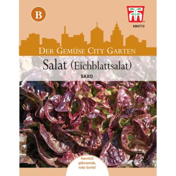 Eichblattsalat Saxo