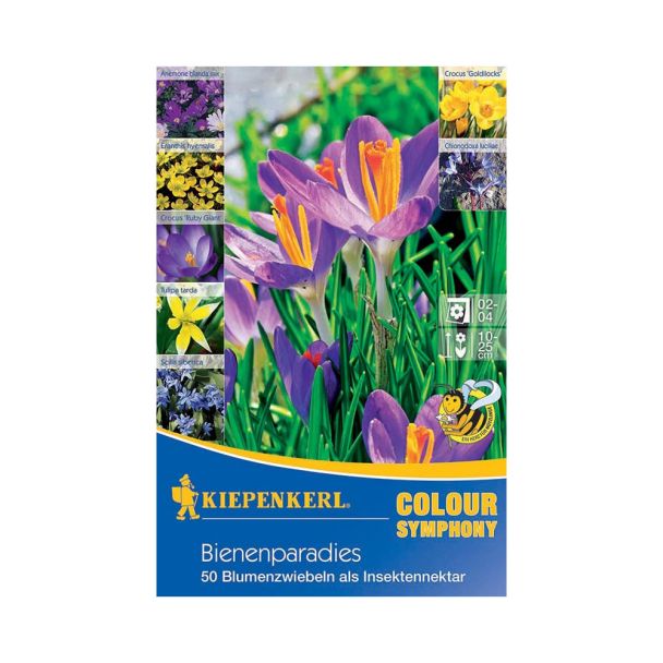 Farbsymphonien 'Bienenparadies'
