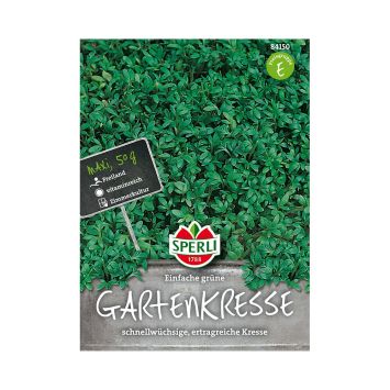 Einfache grüne Gartenkresse - Maxi 50 g