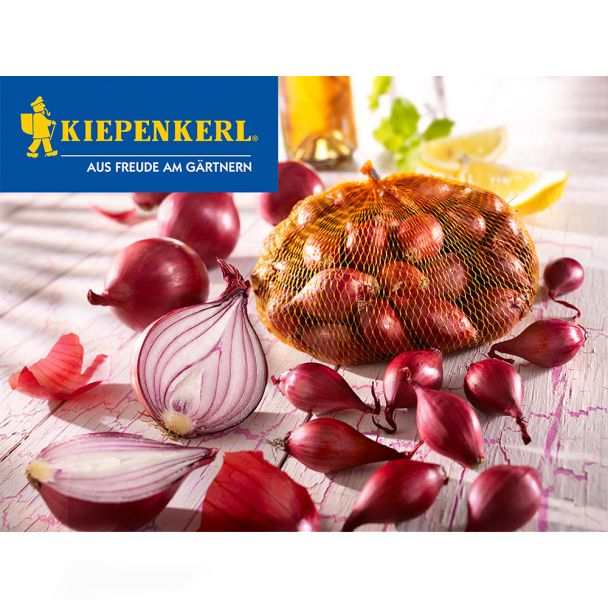 Rote Steckzwiebeln, 250 g (1 kg / € 7,96)