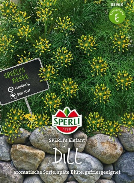 Dill 'SPERLI´s Elefant'