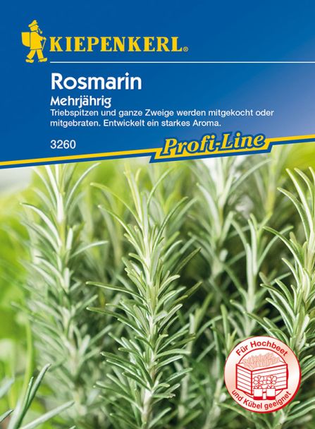 Rosmarin 'Mehrjährig'