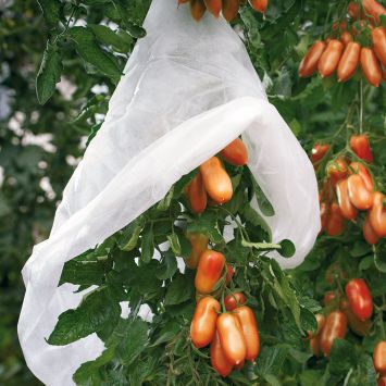Tomaten-Vlies