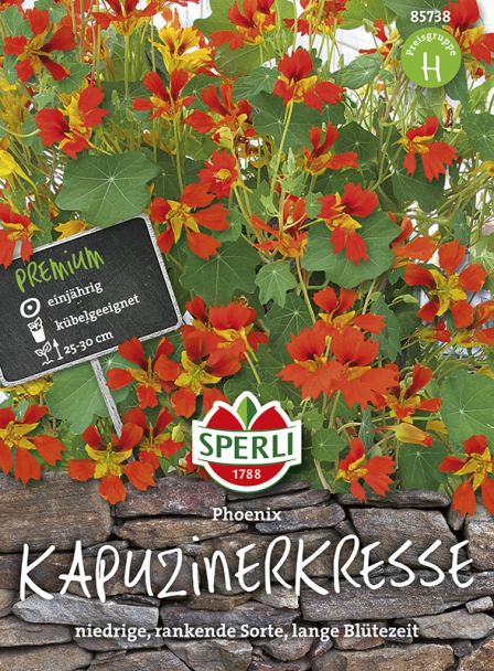 Kapuzinerkresse 'Phoenix'