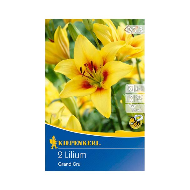 Lilien 'Grand Cru'