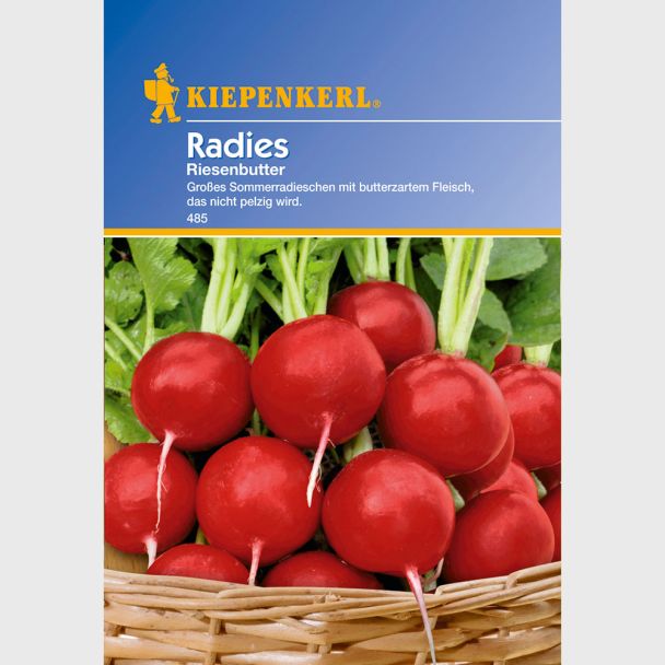 Radies 'Riesenbutter'