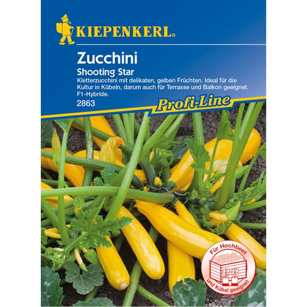 Zucchini 'Shooting Star' F1