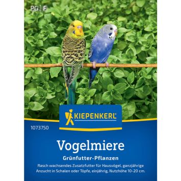 Vogelmiersamen Frischgrün-Futter