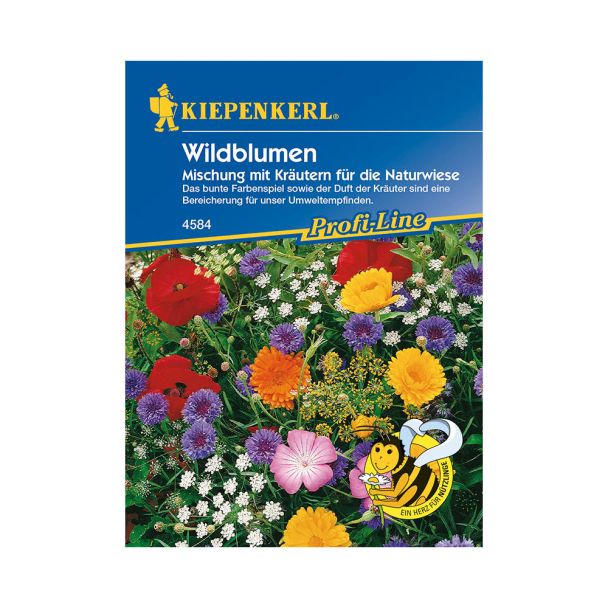 Wildblumen 'Mischung mit Kräutern für die Naturwiese'