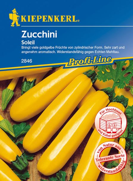 Zucchini 'Soleil, gelb'