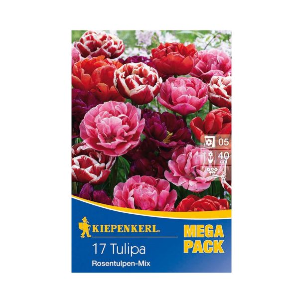Tulpen `Gefüllte, späte Rosentulpen-Mischung`