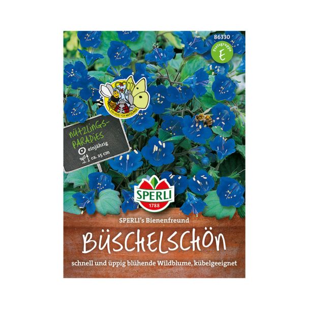 Glockenblütiges Büschelschön 'SPERLI's Bienenfreund'