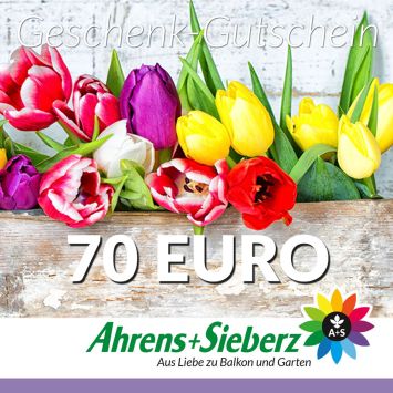 Geschenk-Gutschein, Wert 70 Euro Tulpen