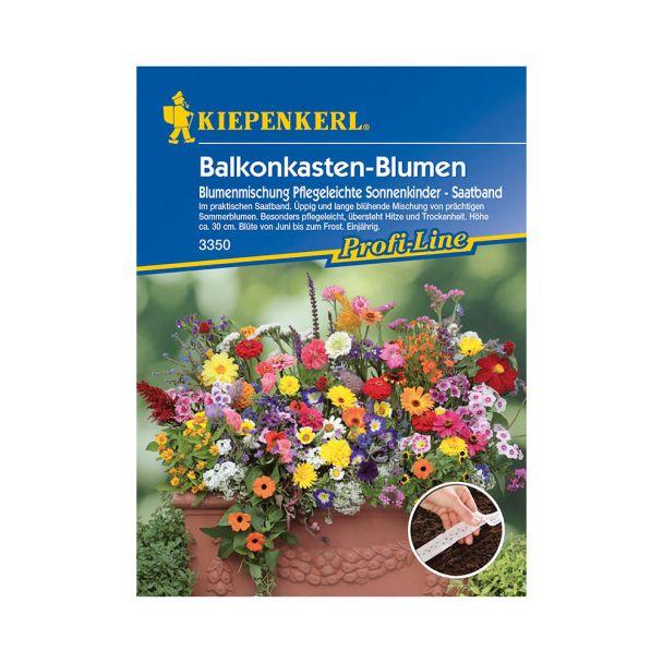 Balkonkastenblumen 'Sonnenkinder' (Saatband)