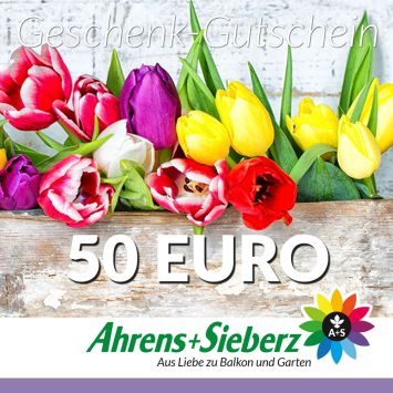 Geschenk-Gutschein, Wert 50 Euro Tulpen