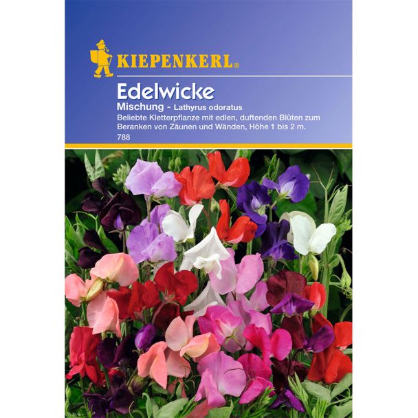 Edelwicken 'Mischung'