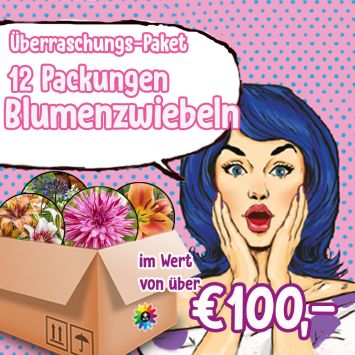 Überraschungspaket Blumenzwiebeln